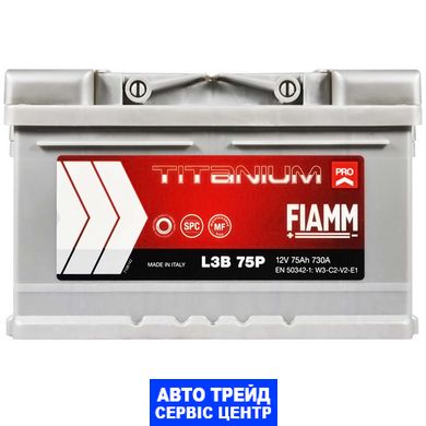 Автомобільний акумулятор 12V [Euro] FIAMM Titanium Pro 75Ah 730А R+